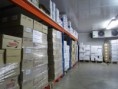 /album/instalaciones-instal%c2%b7lacions/instal-lacions-1-jpg2/